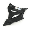 BMW S1000RR Carbon Ritzelabdeckung Sprocket Cover cache Pignon 4