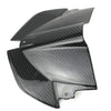 BMW S1000XR 100% Carbon Untere Frontverkleidung.